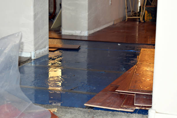 Professional Water Damage Repair technician working in Hometown, PA